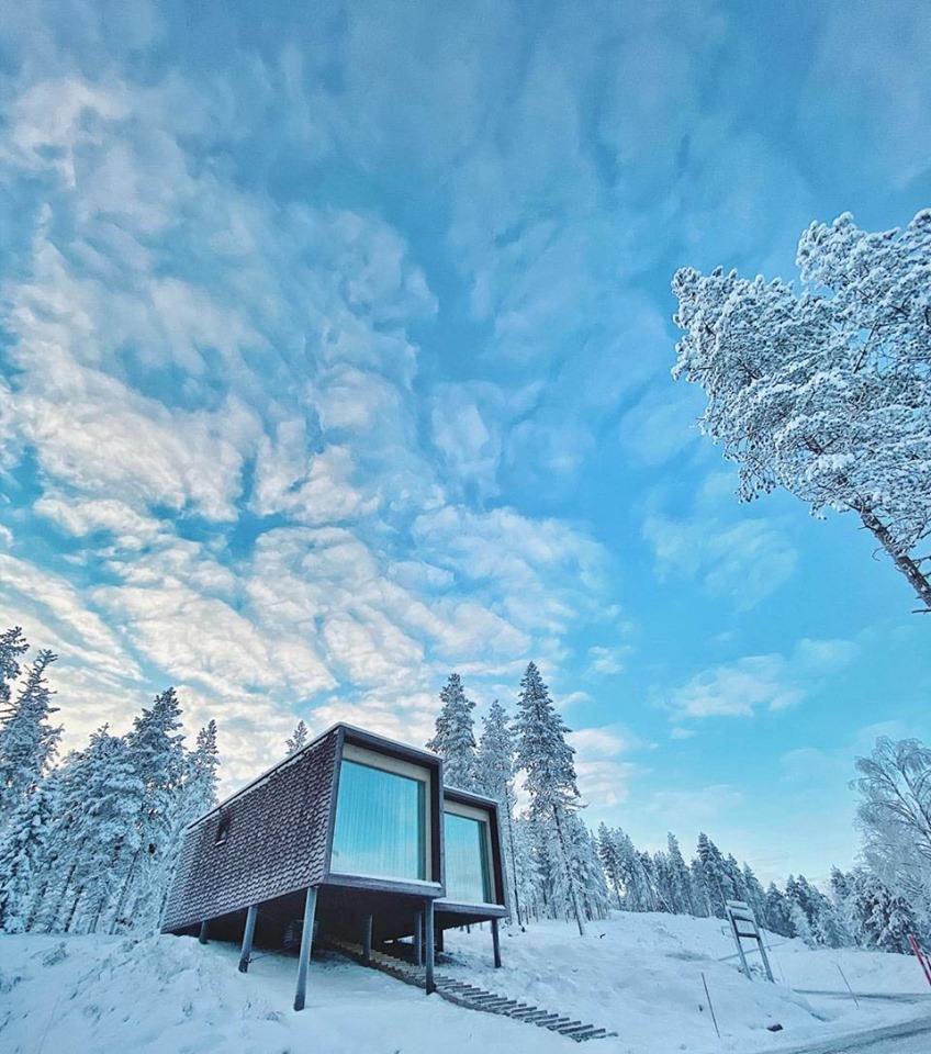 Artic TreeHouse Hotel
