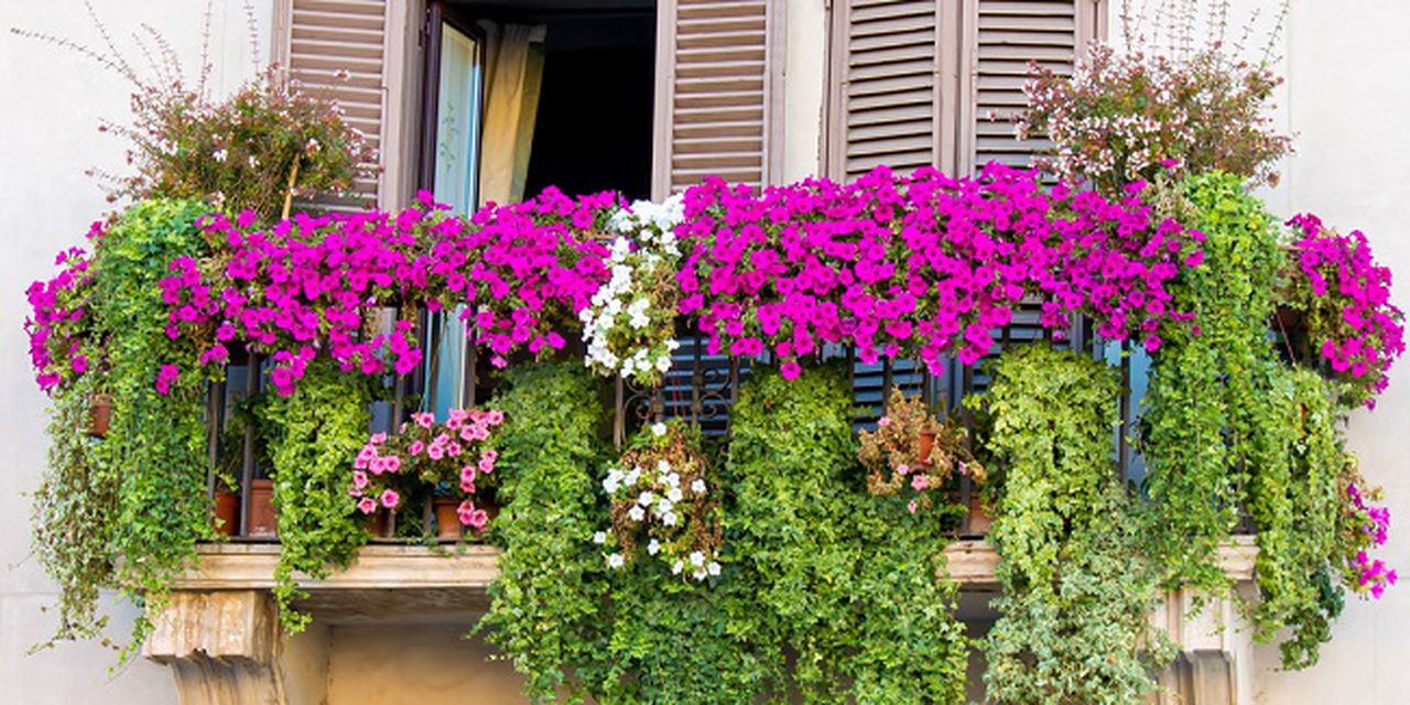 come creare un piccolo giardino su un balcone